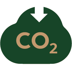 Über Kork 16 Kohlenstoff negativ