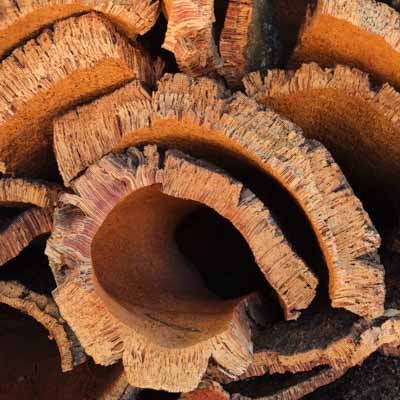 Über Kork 5 Korkrinde