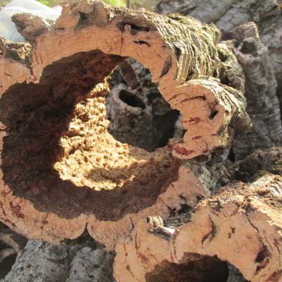 Über Kork 3 jungfräulicher Kork